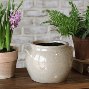 A cream ceramic pot on a wooden table with plants nearby.